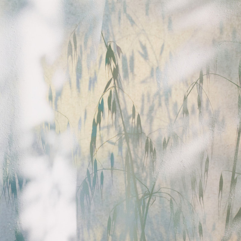 A Continuity By Fountain Grass Studios, H 60" x W 40"