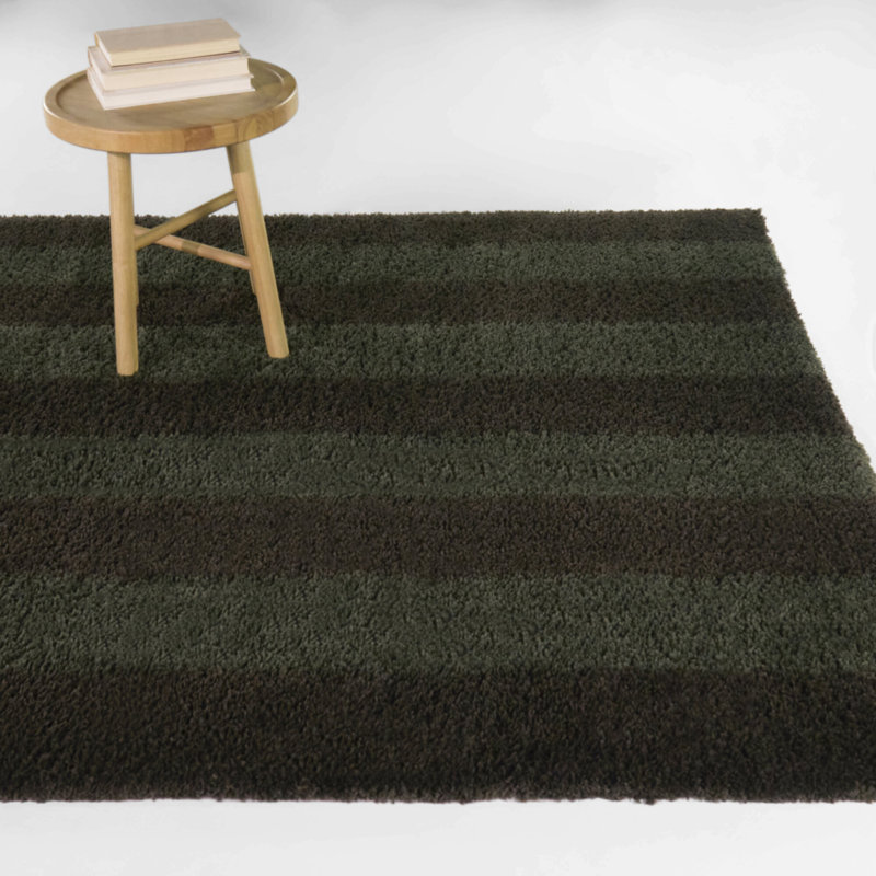 Alyzia Green Modern Stripe Shag Area Rug, Rectangle 5'3" x 7'