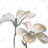 Beautiful Desaturated Flowers - Framed Canvas Home Decor