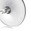 Lismore Diamond 6.5floz Martini