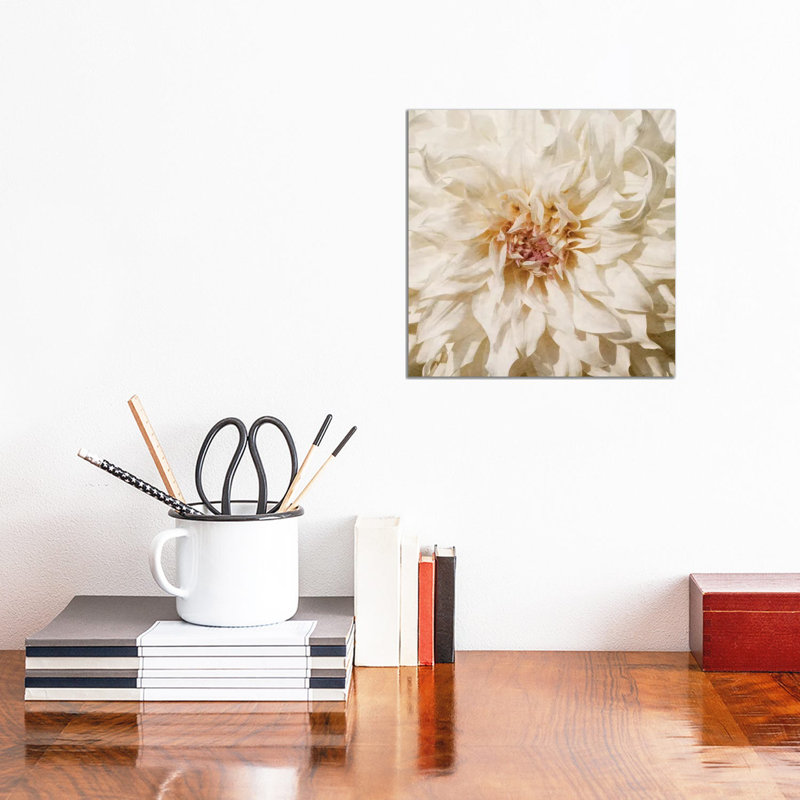 Wall Flower VIII by Alonzo Saunders - Wrapped Canvas Print, 30.48 cm H x 30.48 cm W