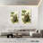 American Robin-1534468516