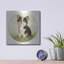 "Chihuahua Sentadito" par John Silver-1678602258