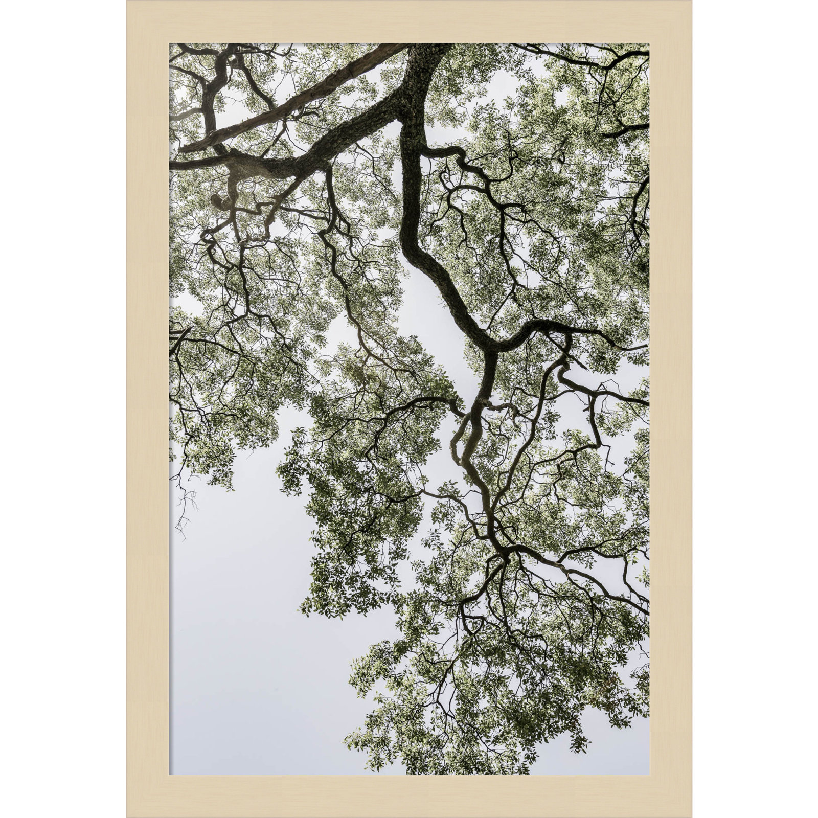 Pleasantville "Coastal Forest" Print, Brown, 17" H x 12" W