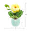 Pivoine dans un vase en céramique