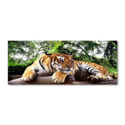Tiger On The Rock - No Frame Print on Canvas
