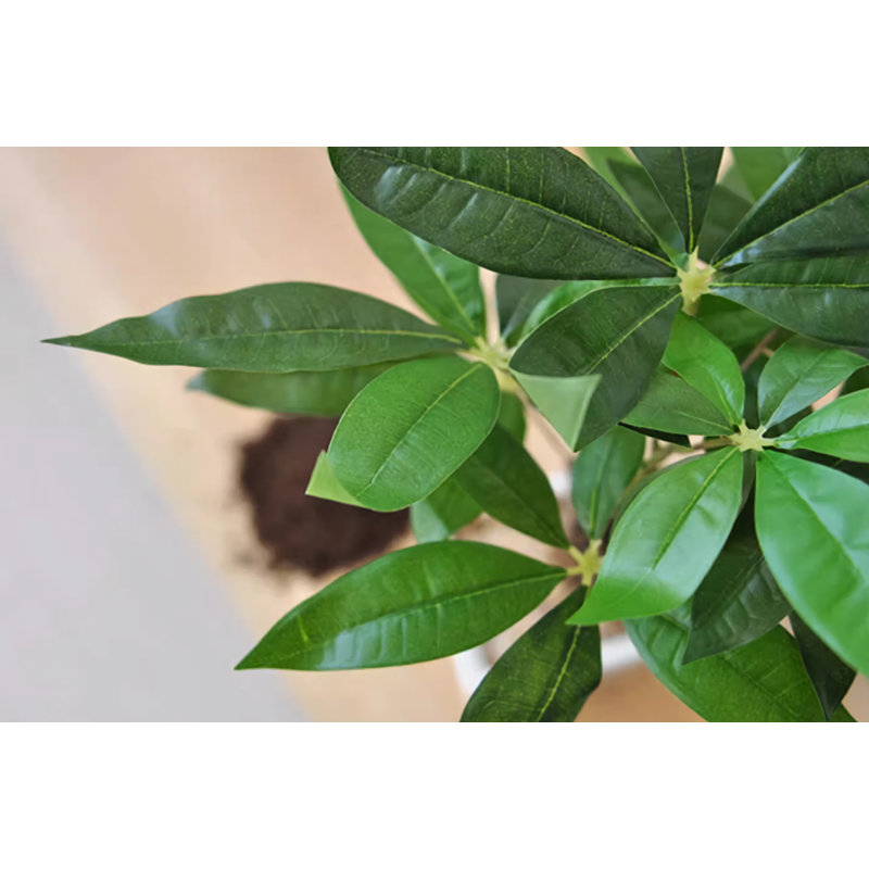 Bonsaï de table réaliste avec arbre vert