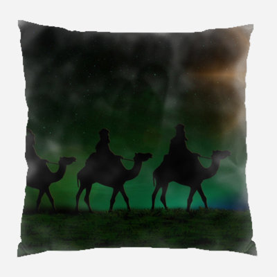 Canvas Outdoor Reversible Throw Pillow