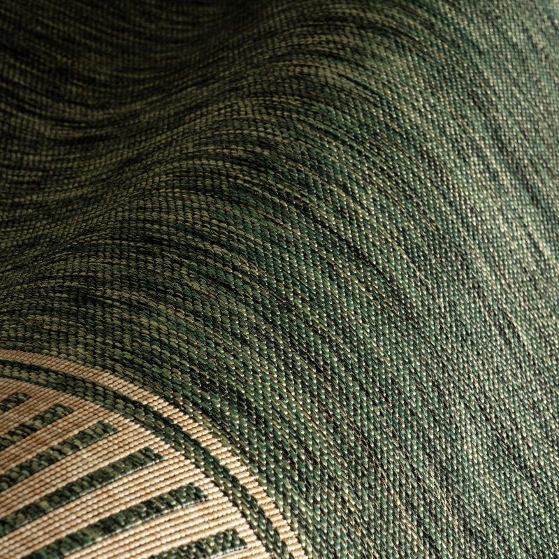 Alegre Bordered Indoor/Outdoor Rug, Rectangle 4' x 6', Green