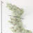 52'' in. Faux Cedar Garland