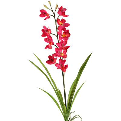 Tige d'orchidée Cymbidium