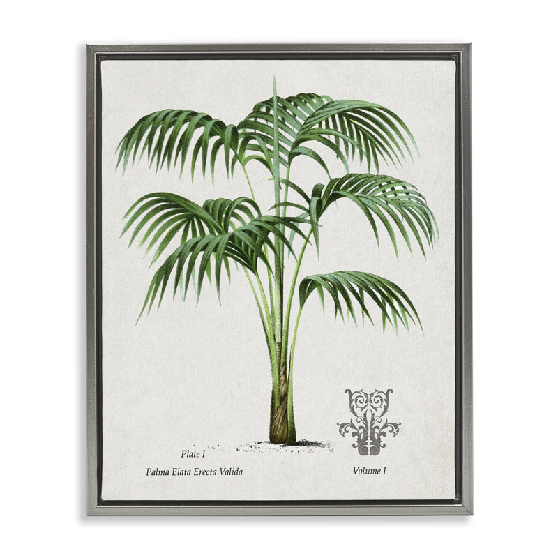 Cadre flottant Natural Palm Study, par Val Rhodes, H 21 po x l 17 po, Cadre flottant gris lustré