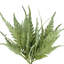 Fern Bundle (Set of 2)-214120564