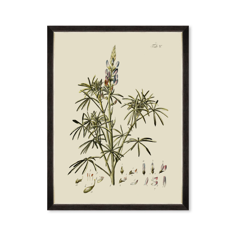 BOTANICAL VI