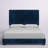 Colleyville Upholstered Standard Bed-83915554-83916561