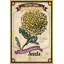 " Flower Packet Poppy " by Marmont Hill-16159338
