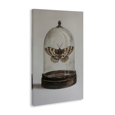 Moth in Glass Cloche Canvas Wall Art by Petal Prints Design