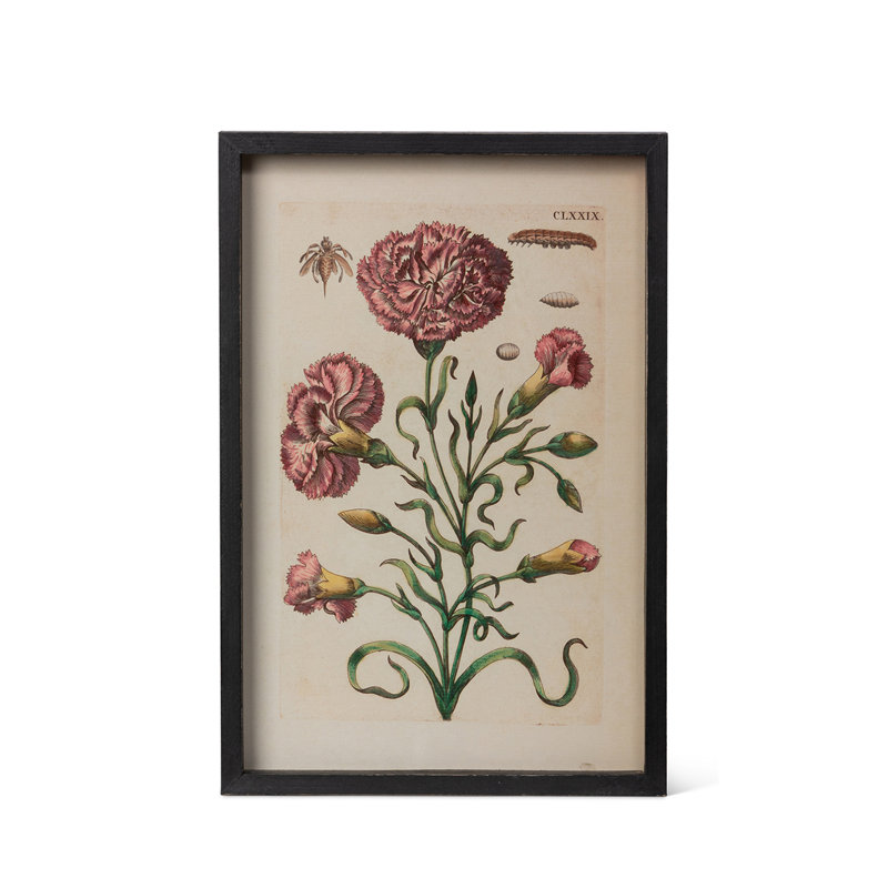 Jardin Boheme Botanical Prints