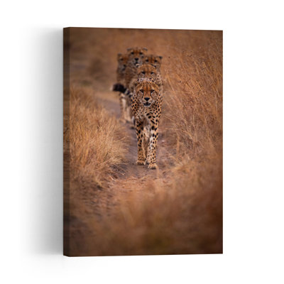 Cheetahs On Patrol Contemporary Cat Animal Nature Wall Art Print 1 Piece Wrapped Canvas Wall Art