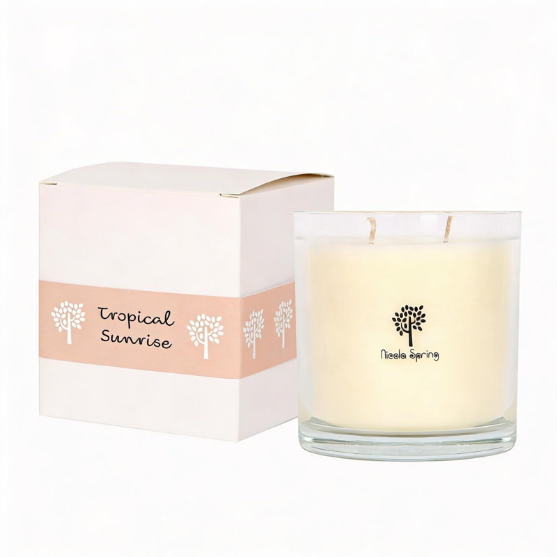 Nicola Spring Tropical Sunrise Soy Wax Candle, 400g, Pack of 1
