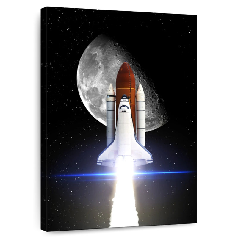 Oberle Space Shuttle Mission, 48" H x 32" W