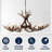 Rohrbach Candle Style Wagon Wheel Chandelier-238798685-193333468