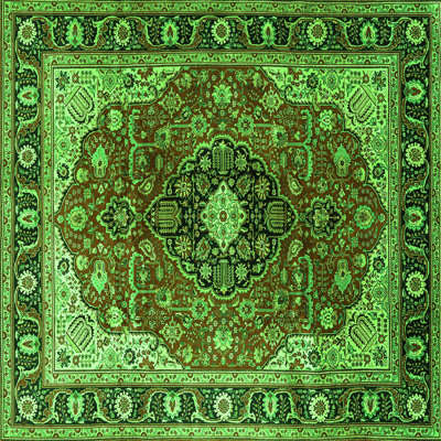 Washable Oriental Indoor Rug