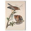 «Watchful pair», reproduction d'art sur toile par Art Remedy-119378571-119378574