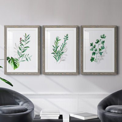 " Freshly Picked I " 3 - Pieces Painting Print