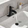 Single-handle Bathroom Faucet with Drain Assembly