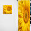 Ebullient Embrace - Rideau abstrait à spirales - Rideau abstrait obscurcissant - 1 panneau-107609731