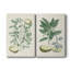 Buchoz Tropicals III - Toile tendue avec châssis de qualité supérieure - Prêt à être accroché-2124182277
