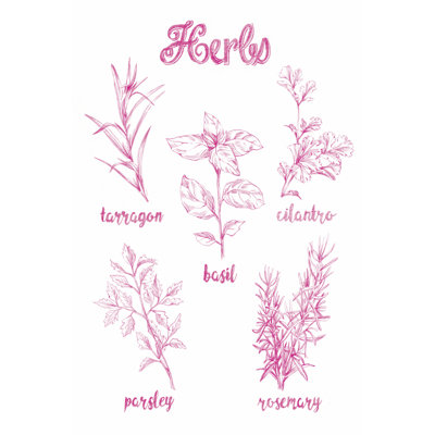 Herb Varieties by Ethan Harper - Drawing