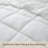 Wayfair Sleep Lightweight Down Alternative Comforter-1081006712-1127908270