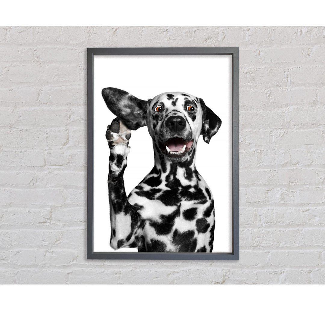 Dalmation Hund High Five - Druck