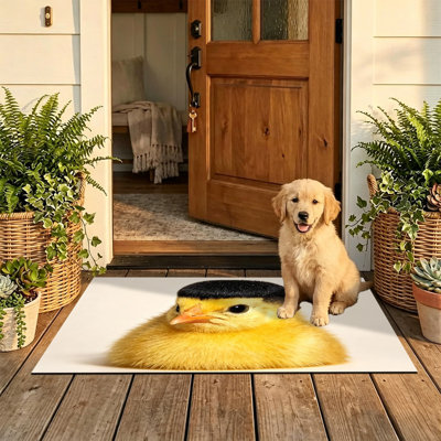  Non-Slip Indoor Outdoor Door Mat, 16"x24",Cute chick front