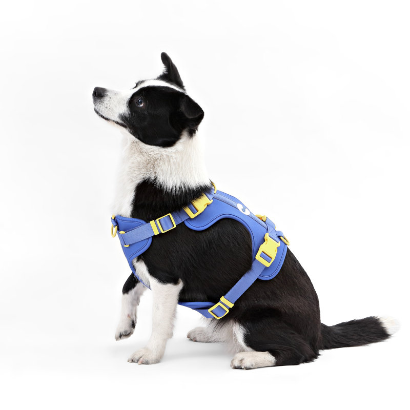 Harnais pour animal de compagnie Arlo, Bleu très foncé, Grand
