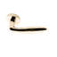 Alpine Lever 26 Privacy Set with Round Rose-47498996-46055189