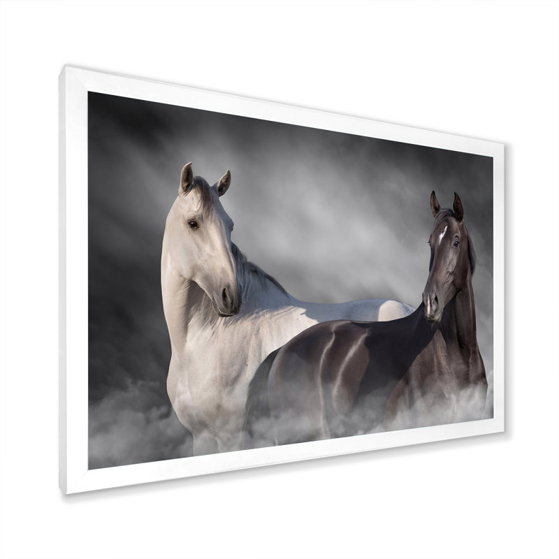 «Black and White Horse Close Up Portrait II», reproduction sur toile, H 12 po x l 20 po x P 1 po, Cadre photo blanc