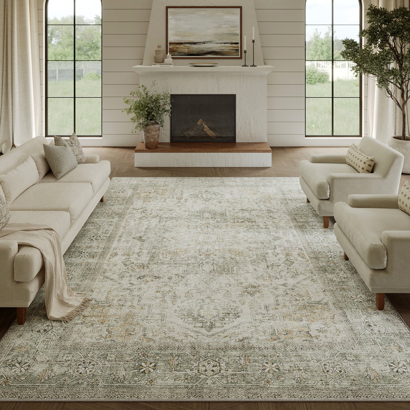 Elaine Machine Washable Area Rugs For Living Room With Non-Slip Backing, Rectangle 4' x 6'