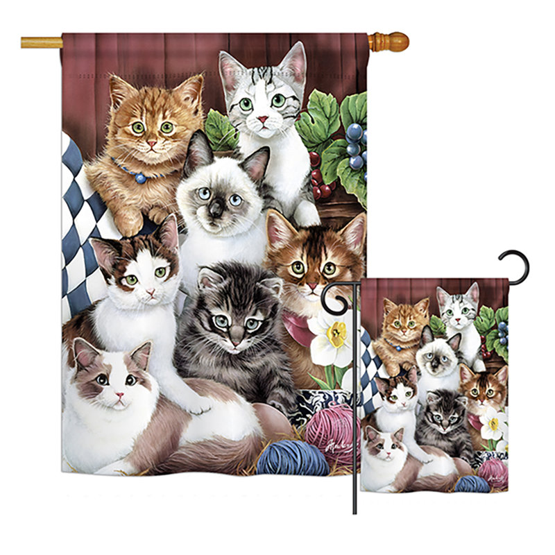Ensemble de drapeaux 40 po x 28 po Miel Cuddly