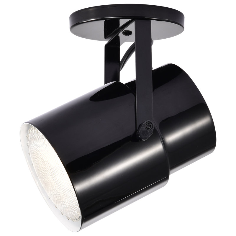 1 - Light Spotlight, Black/Steel