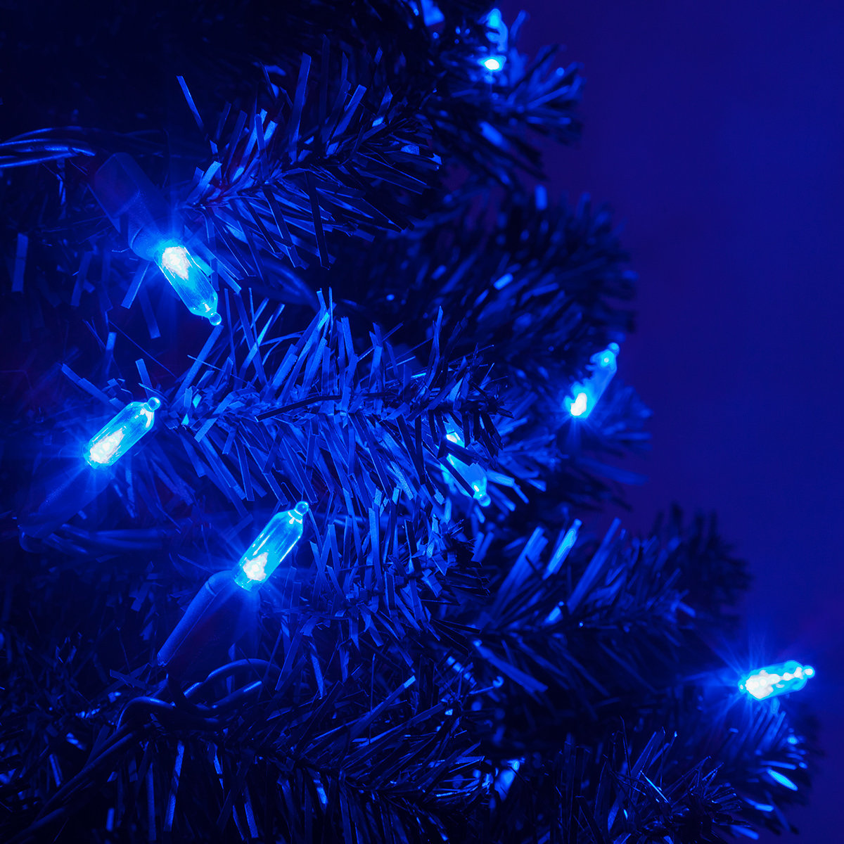 25.5' Steady LED String Lights, Blue