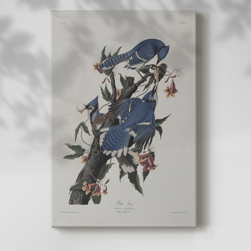 Imprimé animal rétro XXXIV - galerie Cavas, H 18 po x l 12 po