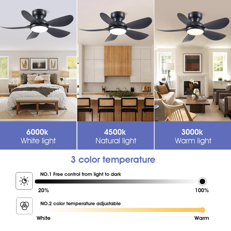 Ventilateur de plafond encastré 36 "avec lumière et télécommande / app, 36" Wide, Black