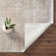 Oriental Indoor Rug