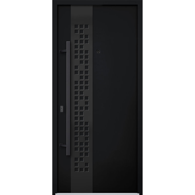 Modern Black Metal Exterior Prehung Door with Sidelites