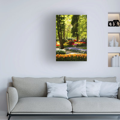 Landscape Color Photography Painting