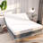 Mogadore Full / Double Massaging Zero Gravity Adjustable Bed with Wireless Remote 12" Memory Mattress Included