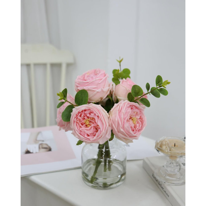 Plante de 13 po, Rose